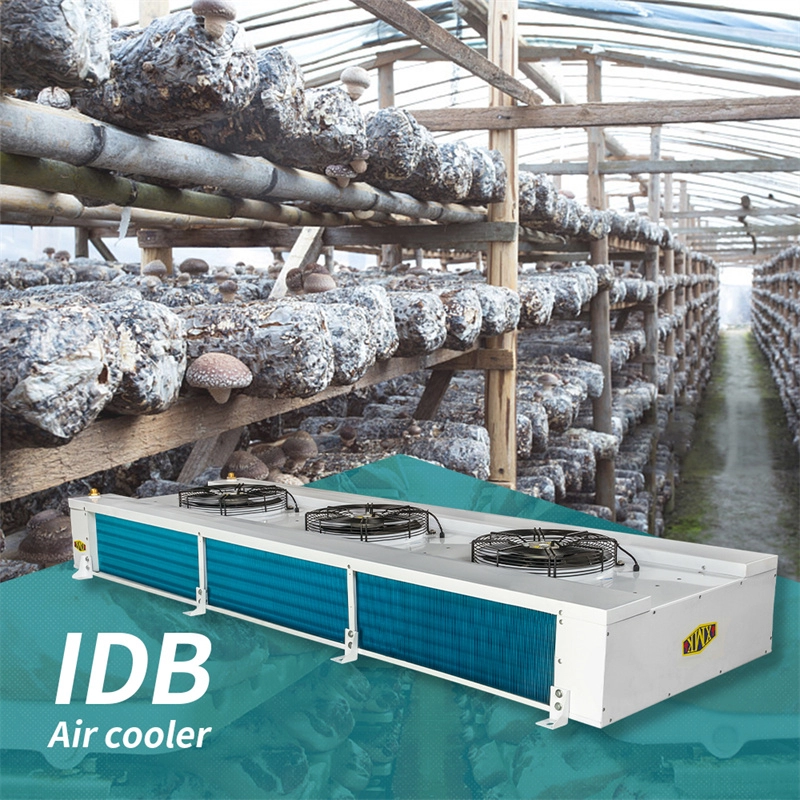 Εξατμιστήρας συστήματος ψύξης της σειράς IDB θερμοκηπίου λαχανικών