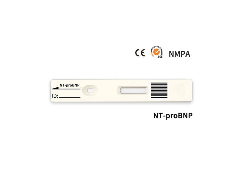 Ταχεία ποσοτική δοκιμή NT-proBNP