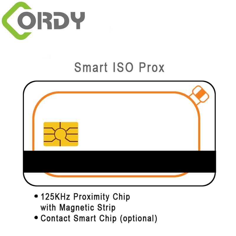 Διπλή κάρτα RFID με μαγνητική λωρίδα Κάρτα με IC επαφής