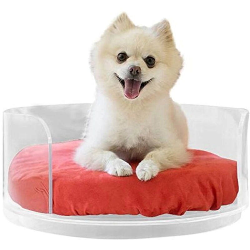 Μεγάλο διαφανές ακρυλικό κρεβάτι σκύλου