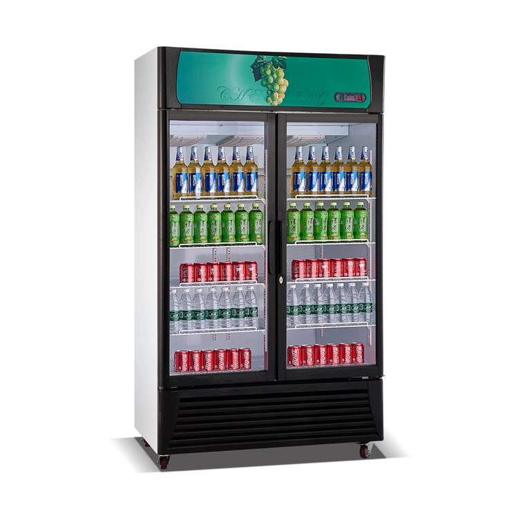 Επαγγελματικό όρθιο ψυγείο αναψυκτικών με διπλή γυάλινη πόρτα για ποτά