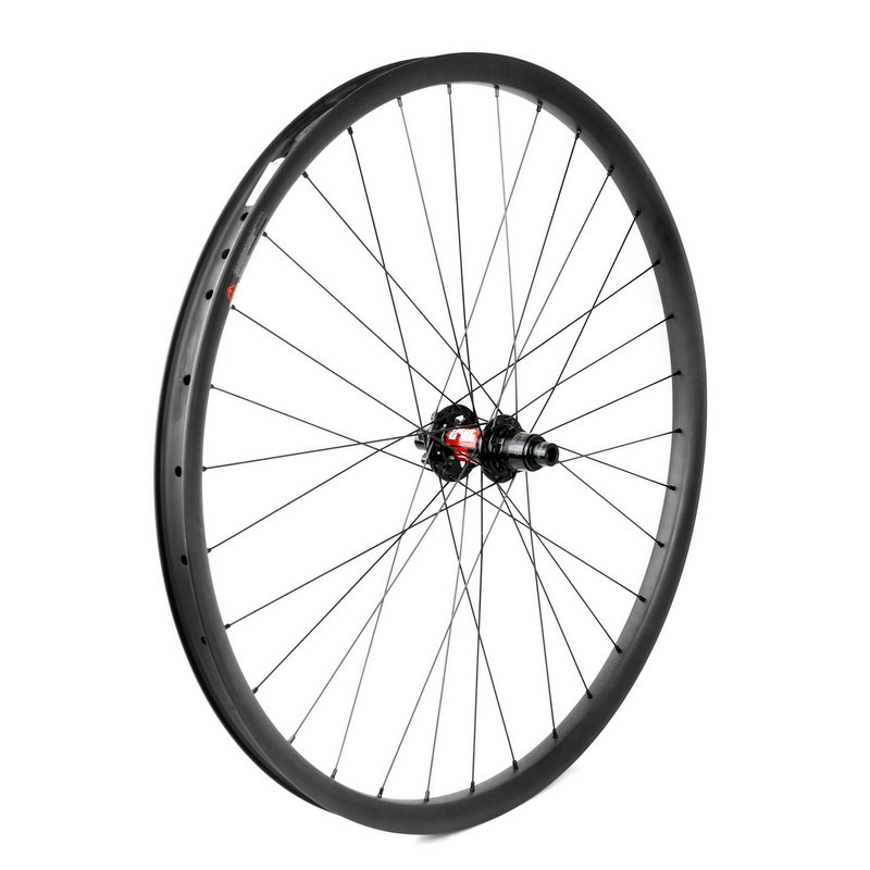 Χειροποίητα DT Swiss 240 hub + Sapim CX-Ray ακτίνες mtb carbon