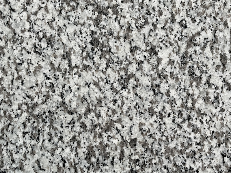 New Pauline Grey Granite