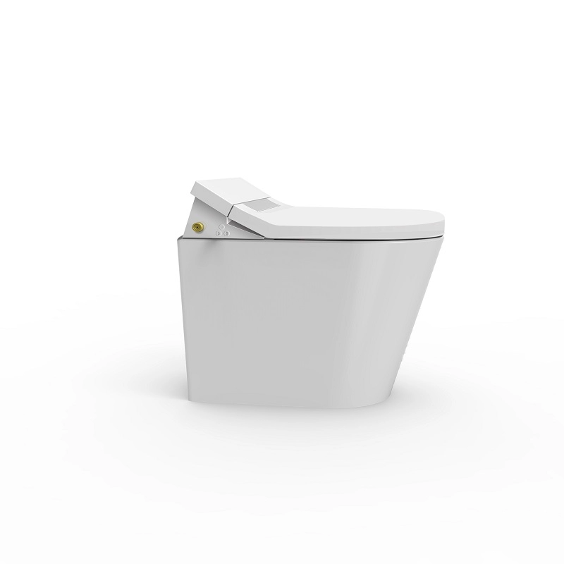 Πιστοποιητικό CE Κάθισμα ντους Ντους WC με καζανάκι ντουλαπιού