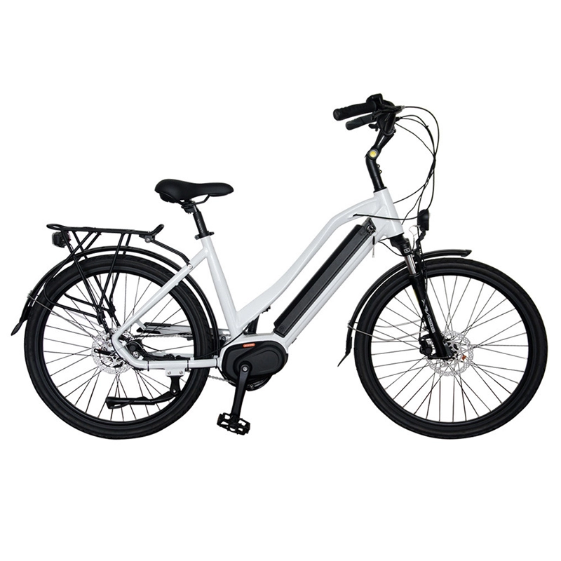 Hot selling fashion 36v 350w ηλεκτρικό ποδήλατο 48v με υψηλής ποιότητας μοτέρ χωρίς ψήκτρες πλήμνη 20 ιντσών ebike fat ελαστικό