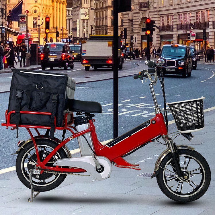 Long Range Electric Delivery Bike