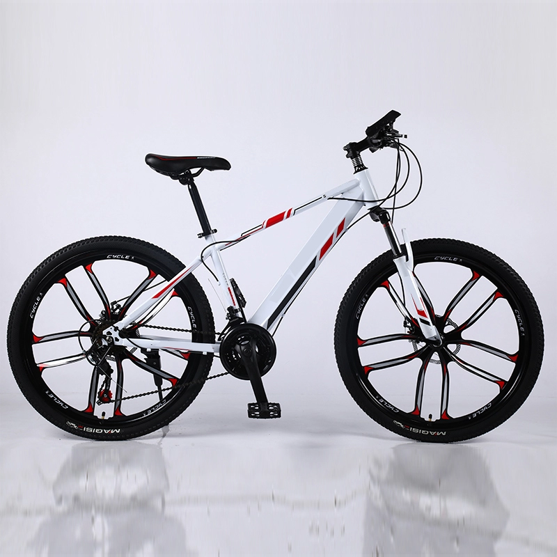 Hot Sale Προσαρμοσμένο ποδήλατο βουνού με πλήρη ανάρτηση 21 Speed Bike