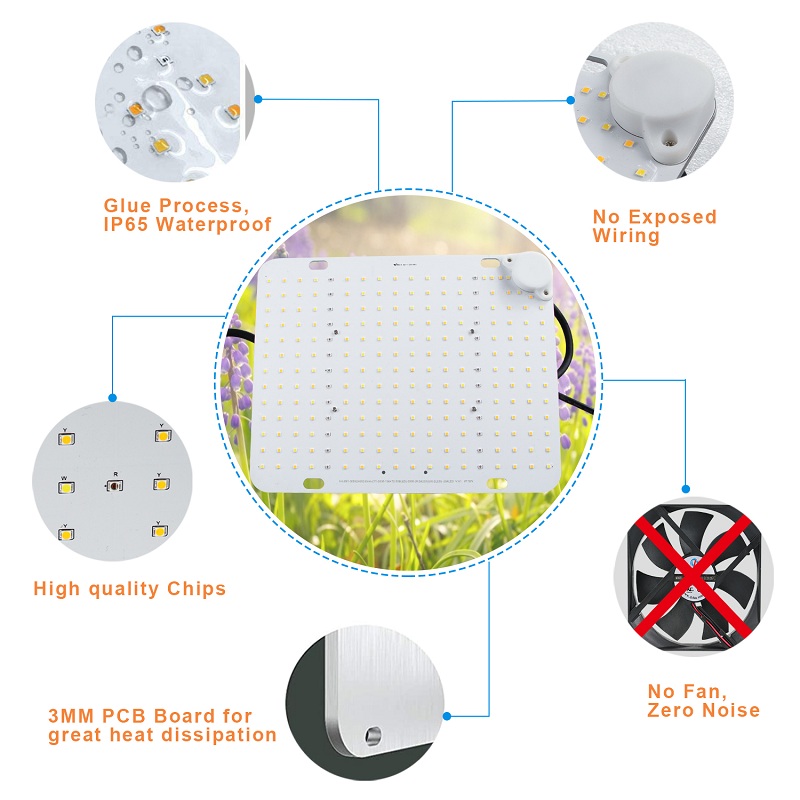 LED Grow lights for sale