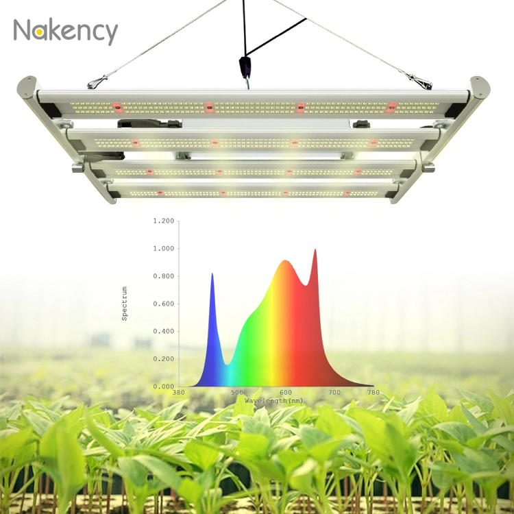 800w αναδιπλούμενο φως led πλήρους φάσματος για φαρμακευτικό φυτό