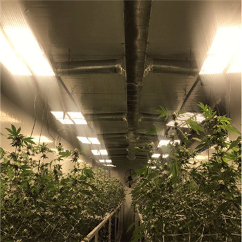 Αδιάβροχο IP65 Εσωτερικό φως led υψηλής απόδοσης για ανάπτυξη φυτών