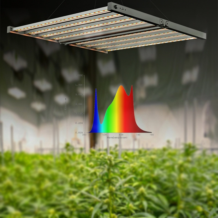 800w κάνναβης καλλιέργεια φυτών εσωτερικού χώρου led grow light