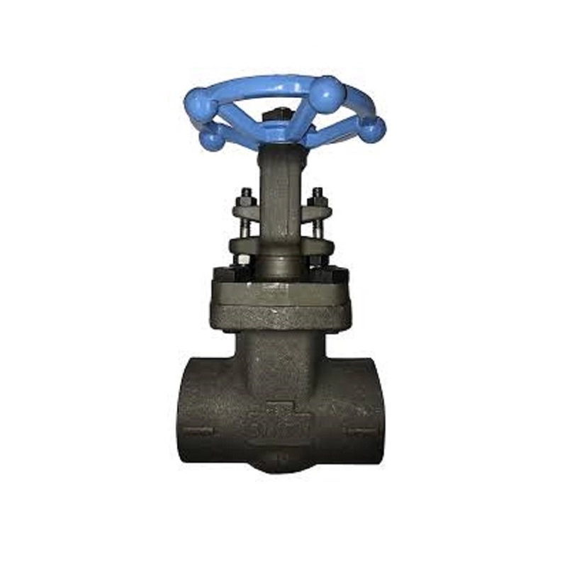 API 602 Σφυρήλατο Steel Gate Valve