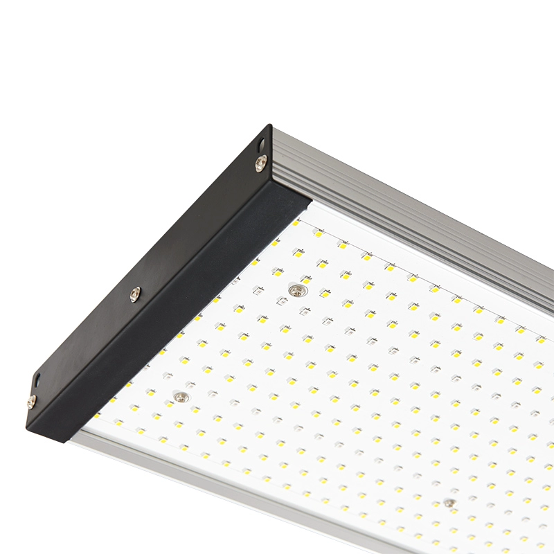 Νέο Hydroponic 300w Led Grow Lights Αντικατάσταση πλήρους φάσματος για φυτά εσωτερικού χώρου