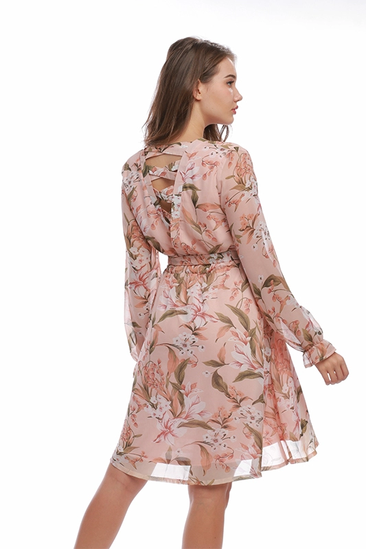 Floral Γυναικεία Φορέματα από ύφασμα σιφόν με ροζ V λαιμόκοψη