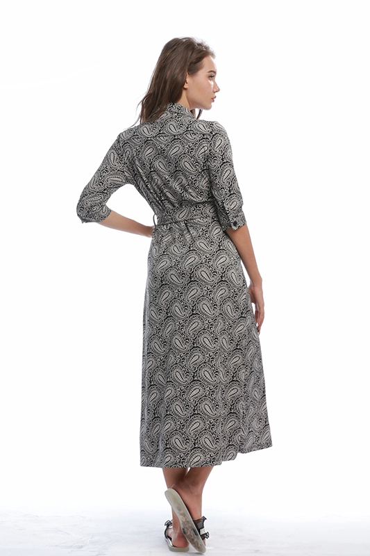 Κομψά γυναικεία casual φορέματα από πολυαμίδιο Spandex μισά μανίκια με φαρδιά στάμπα