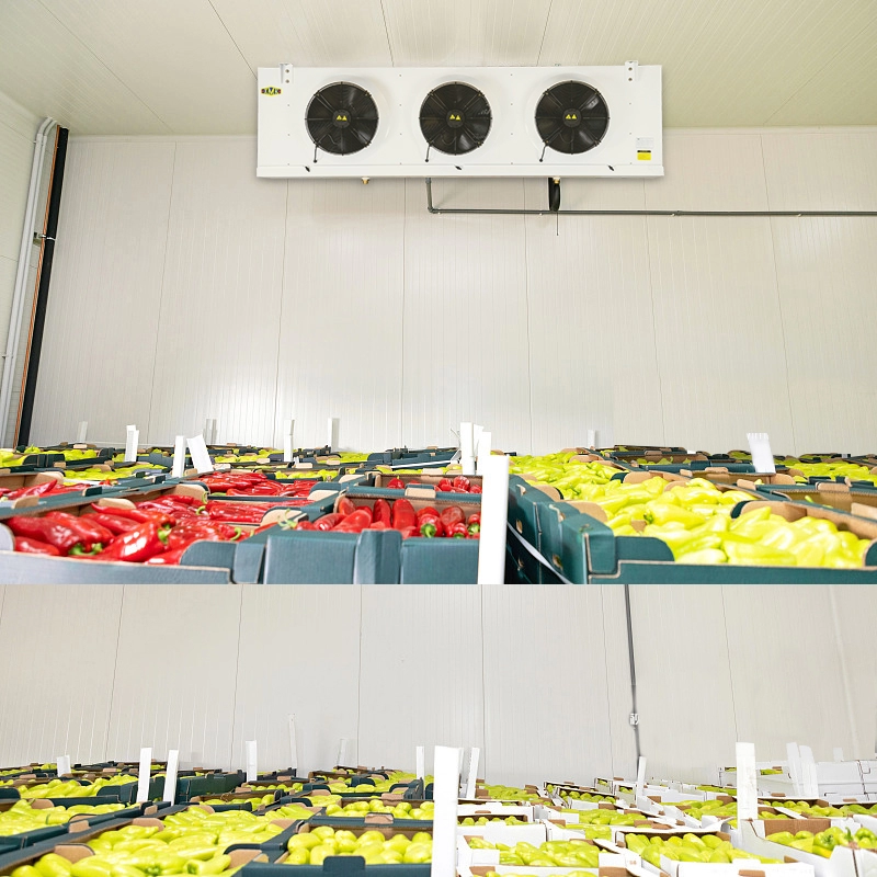 Λαχανικά Φρούτα ψυχρή αποθήκευση Εξατμιστήρας Μονάδα ψύξης 9,18KW