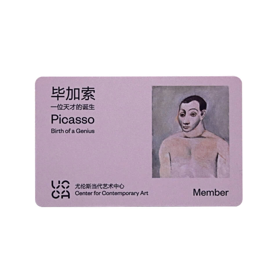 Πλαστικές κάρτες εισιτηρίων μελών RFID για Μουσείο