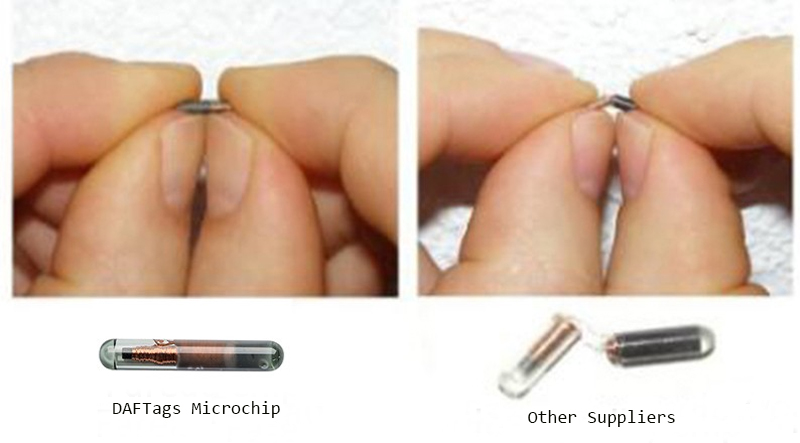 Ετικέτες RFID Puppy Microchip China Factory