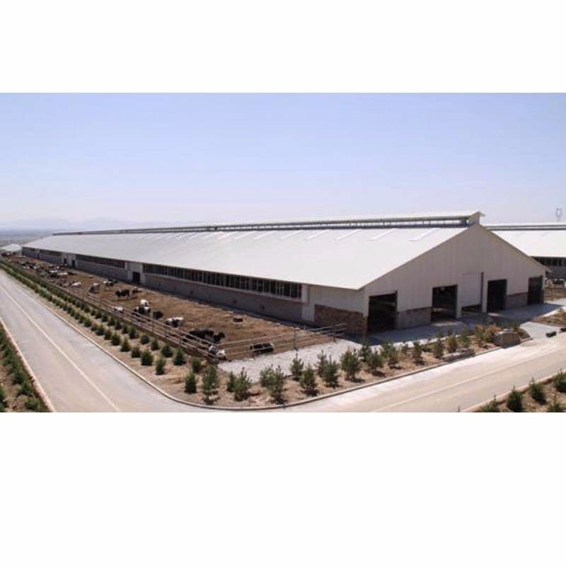 Βιομηχανικό εργαστήριο γαλβανισμένων χαλύβδινων κτιρίων μεγάλου ανοίγματος